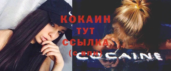 молекула духа Осинники