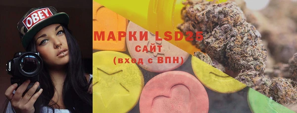 молекула духа Осинники