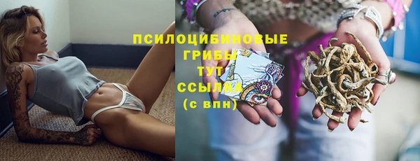 молекула духа Осинники