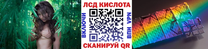 Наркотические марки 1500мкг магазин продажи наркотиков omg как войти Сертолово