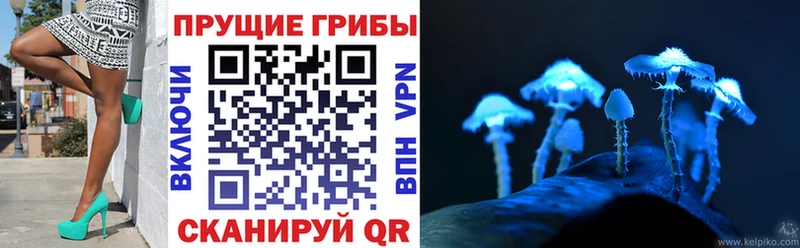 купить наркотик  Сертолово  Галлюциногенные грибы Magic Shrooms 